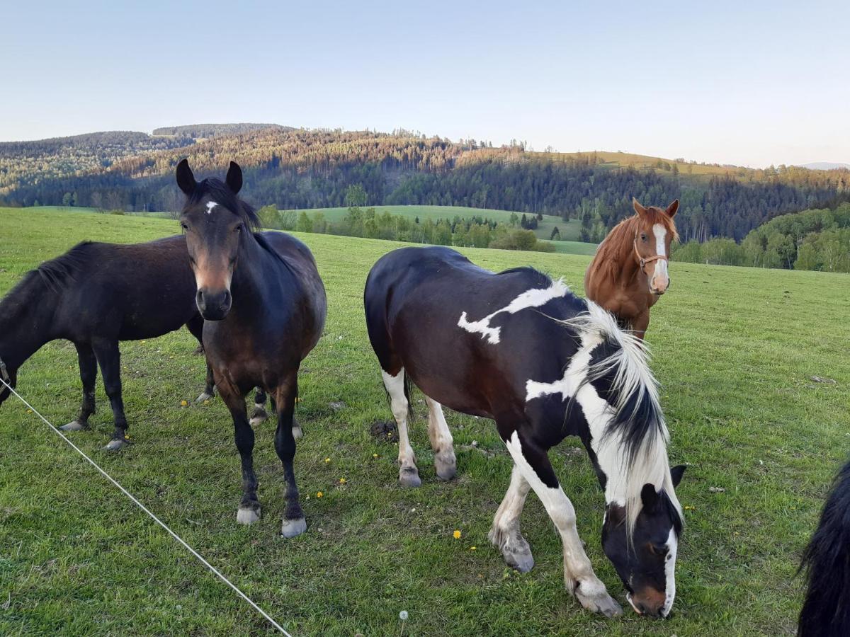Chata Nová Seninka Staré Město Esterno foto